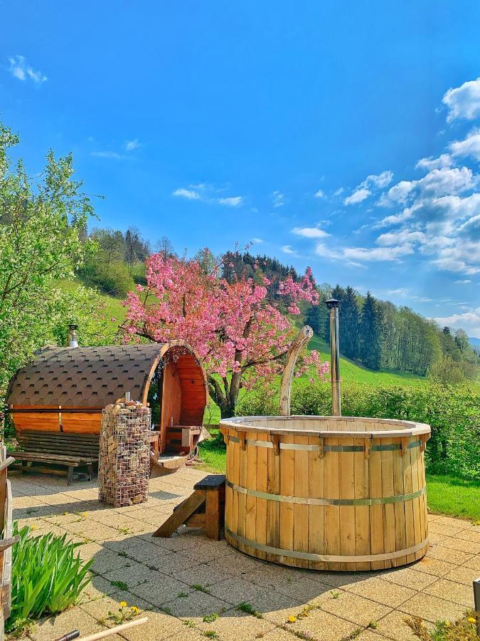 קירשברג אין טירול Hotel Garni Wieshof מראה חיצוני תמונה